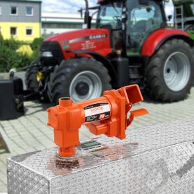 Fuel Transfer Pump, 12V DC 20 GPM 1/4 HP, High Flow Cast Iron Gasoline Extractor Pump With Fuel Collection Box Design For Gasoline, Diesel, Keros (Option: Black)